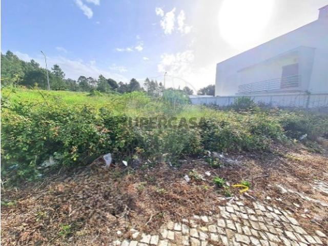 Terreno venda em Azeitão (São Lourenço e São Simão), Setúbal