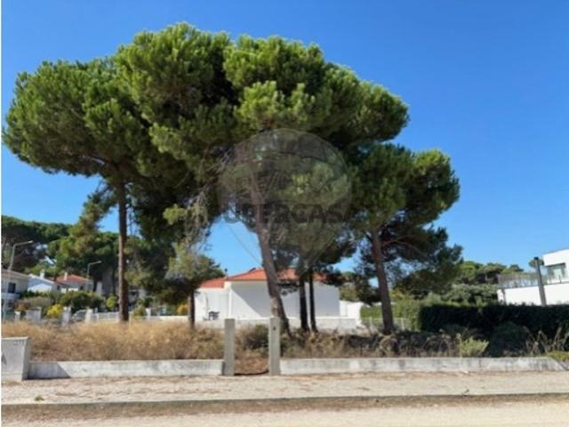Terreno venda em Sesimbra (Castelo), Sesimbra
