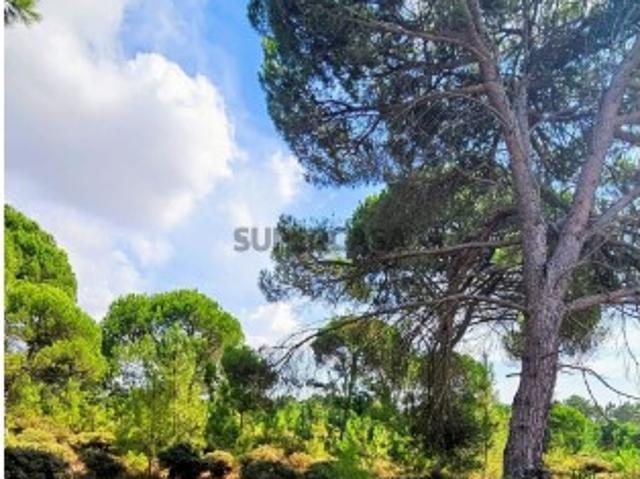 Terreno venda em Castelo, Sesimbra