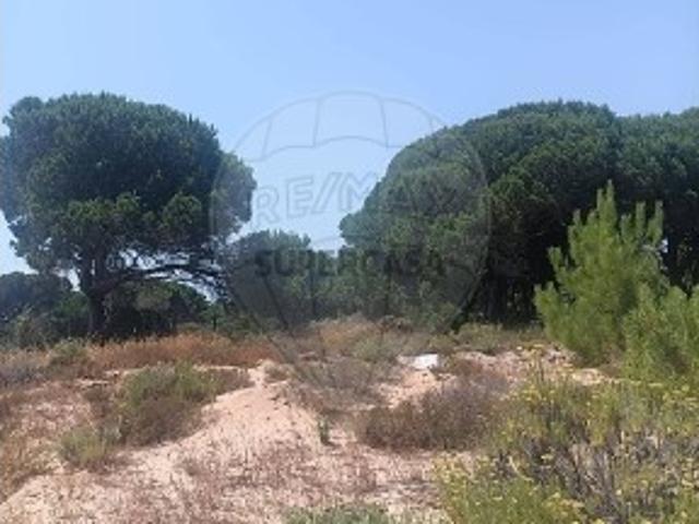 Terreno venda em Sesimbra (Castelo), Sesimbra