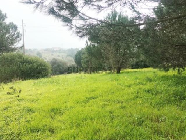 Terreno venda em Castelo, Sesimbra