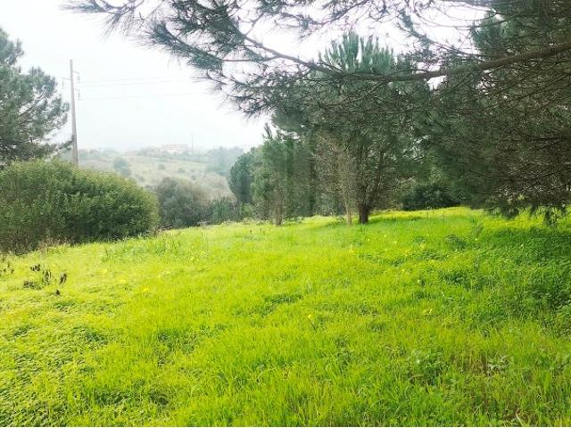 Terreno venda em Sesimbra (Castelo), Sesimbra