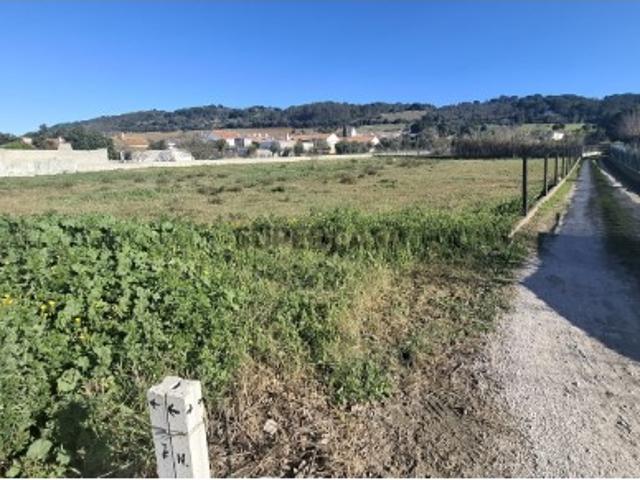 Terreno venda em Azeitão (São Lourenço e São Simão), Setúbal