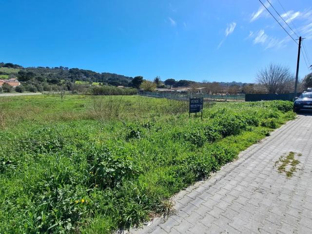 Terreno venda em Azeitão (São Lourenço e São Simão), Setúbal