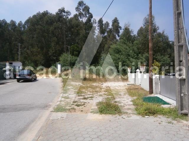 Terreno venda em Rachado, Sever Do Vouga