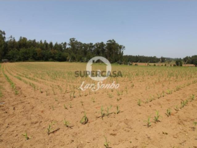 Terreno venda em Barcelos