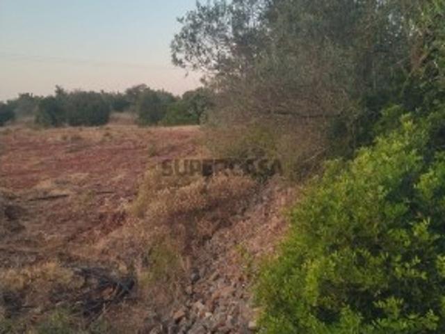 Terreno venda em Silves, Faro
