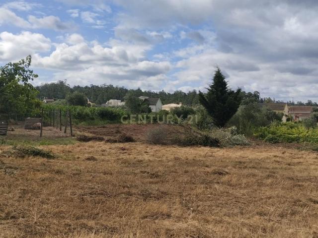 Terreno venda em Soure, Coimbra