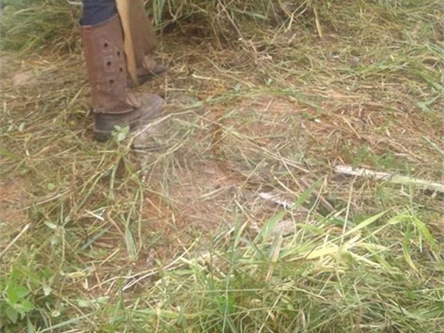 Terreno venda em Região Imediata de Jundiaí, Várzea Paulista