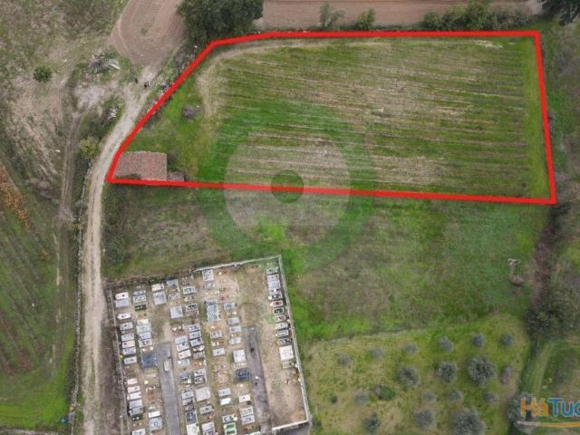 Terreno venda em Argeriz, Vila Real