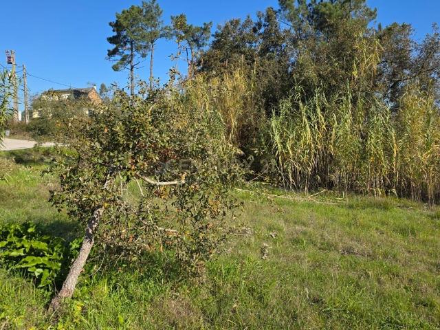 Terreno venda em Soure, Coimbra