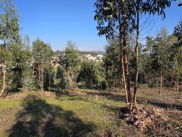Terreno venda em Soure, Coimbra