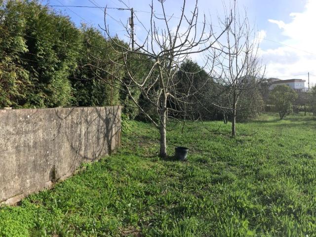 Terreno venda em Escamarão, Souselo