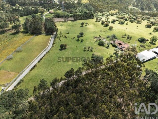 Terreno venda em Leiria