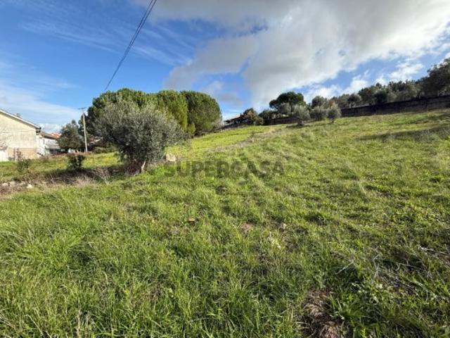 Terreno venda em Leiria