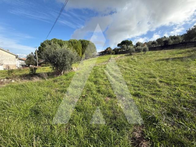 Terreno venda em Leiria