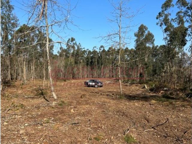 Terreno venda em Viana Do Castelo