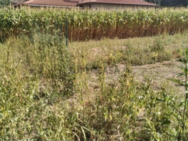 Terreno venda em Viana Do Castelo