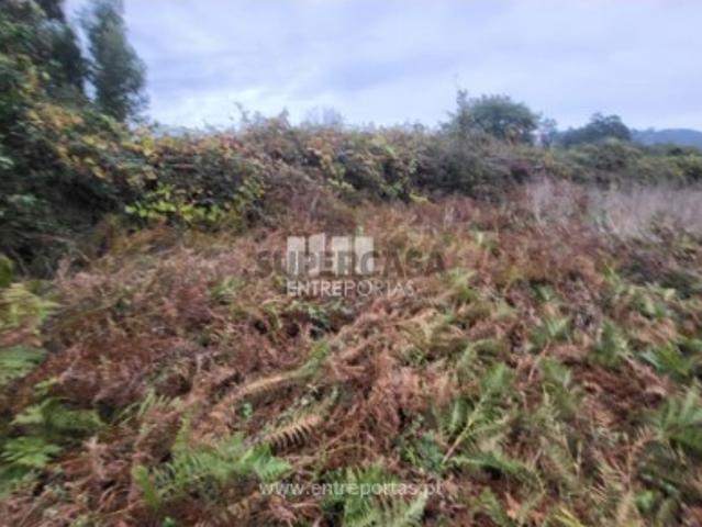 Terreno venda em Viana Do Castelo