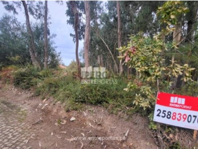 Terreno venda em Viana Do Castelo