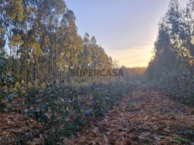 Terreno venda em Tábua, Coimbra
