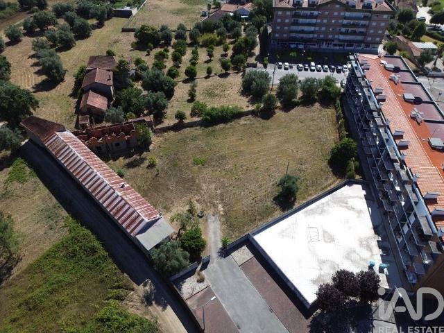 Terreno venda em Anadia, Aveiro