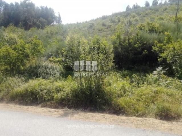 Terreno venda em Tarouquela, Viseu