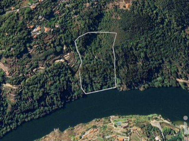 Terreno venda em Tarouquela, Viseu