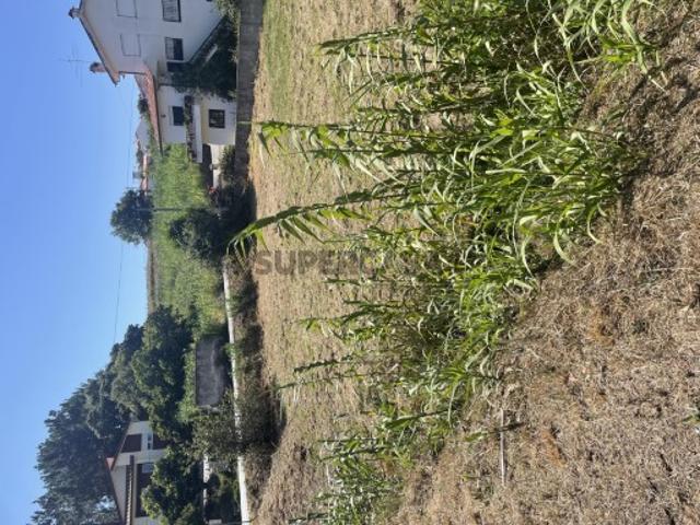 Terreno venda em Figueira Da Foz, Coimbra