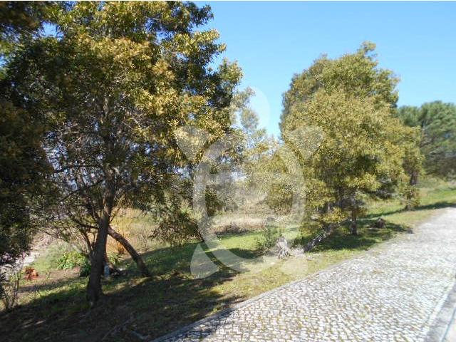 Terreno venda em Vila Robim, Figueira Da Foz