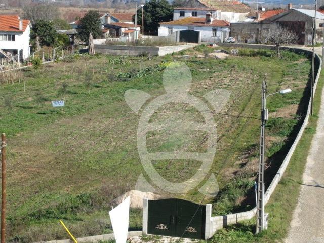 Terreno venda em Coimbrã, Ameal