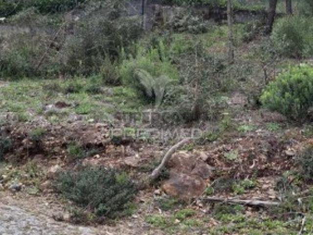 Terreno venda em Amarante, Porto