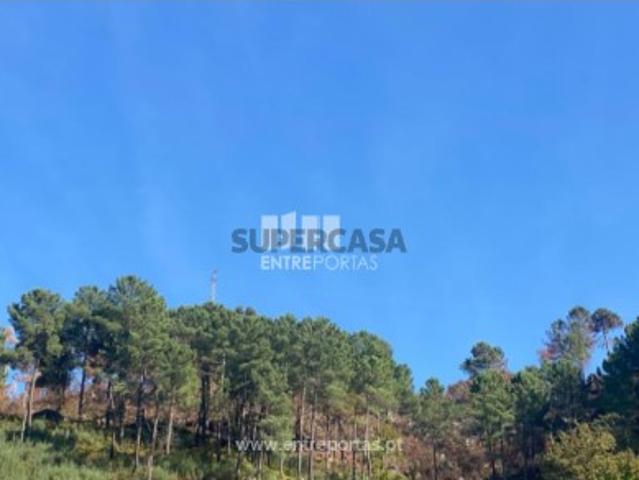 Terreno venda em São Cristóvão De Nogueira, Viseu