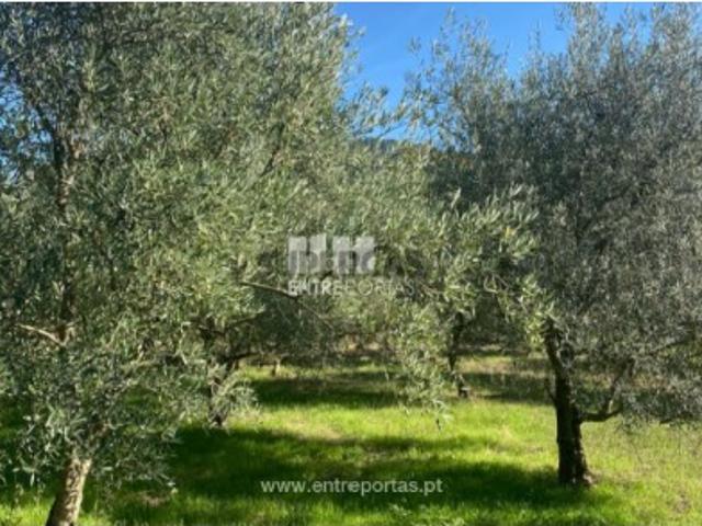 Terreno venda em São Cristóvão De Nogueira, Viseu