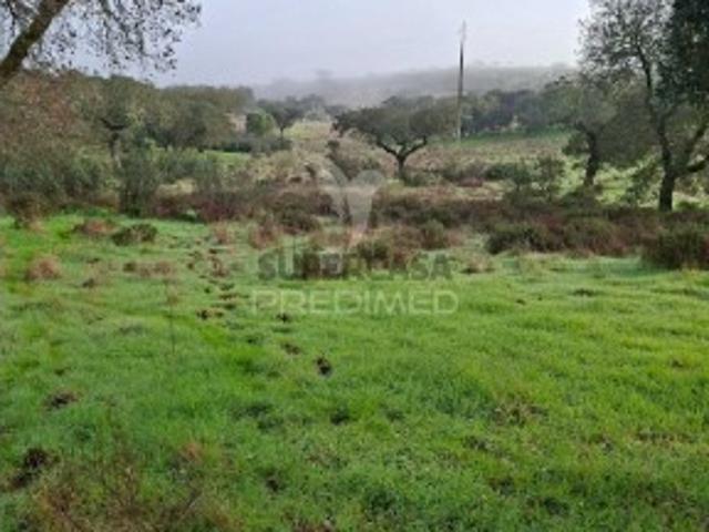 Terreno venda em Nossa Senhora Da Conceição, Évora
