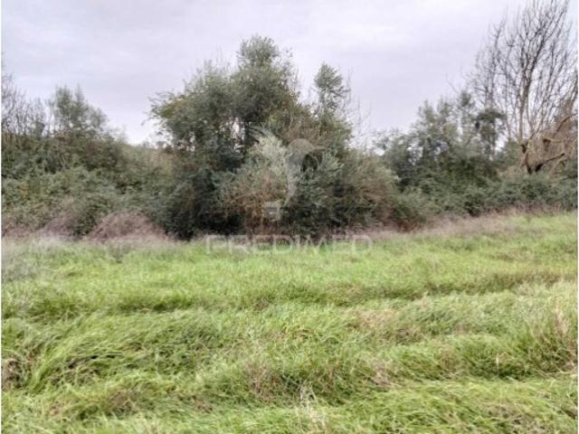 Terreno venda em Nossa Senhora Da Conceição, Évora