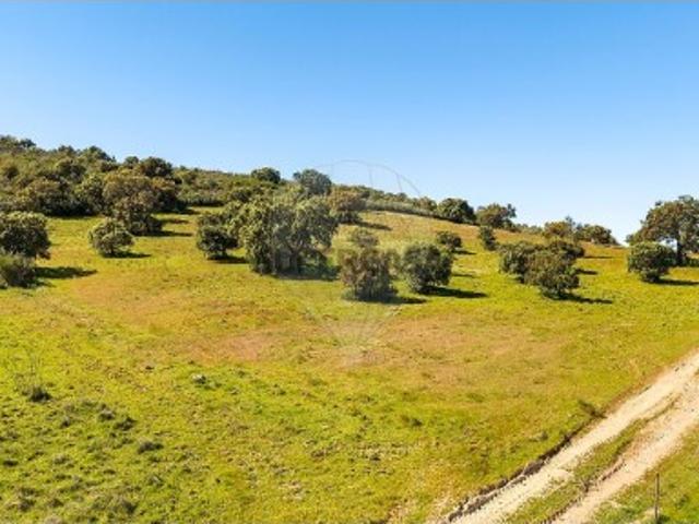 Terreno venda em São Pedro Terena, Évora