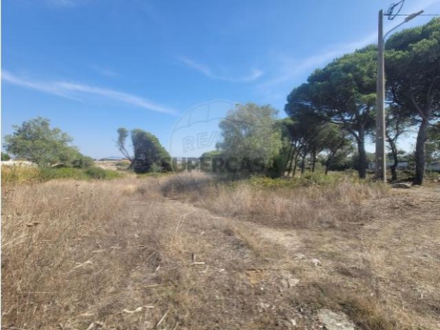 Terreno venda em Alcolombal, Terrugem
