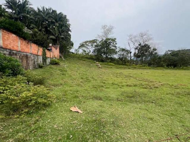 Terreno venda em Região Geográfica Imediata de Blumenau, Pomerode