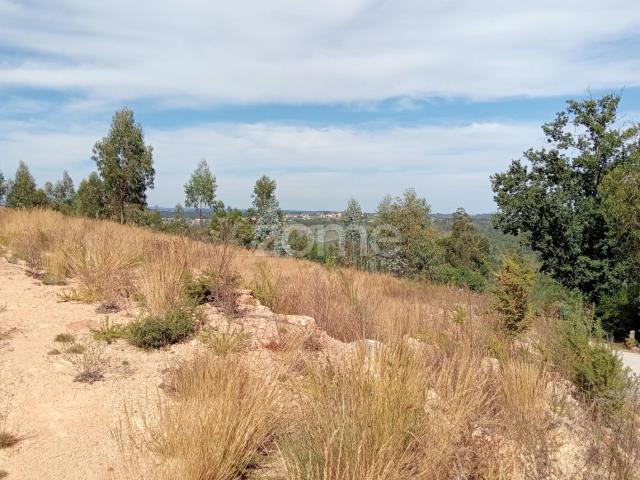 Terreno venda em Tondela e Nandufe, Tondela
