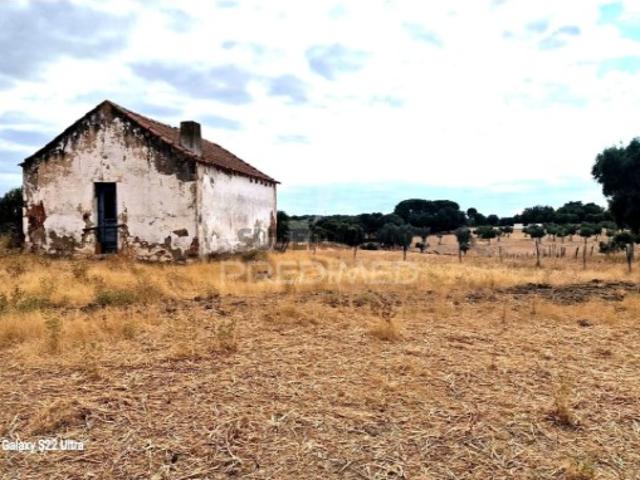 Terreno venda em Alcácer Do Sal, Setúbal