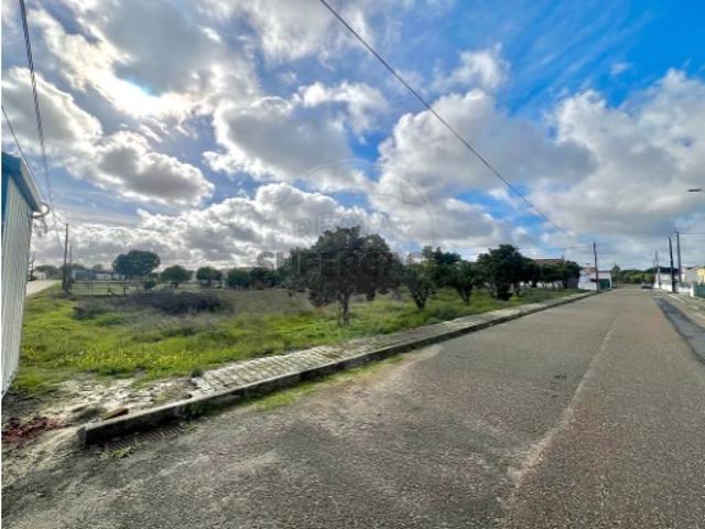 Terreno venda em Alcácer Do Sal, Setúbal