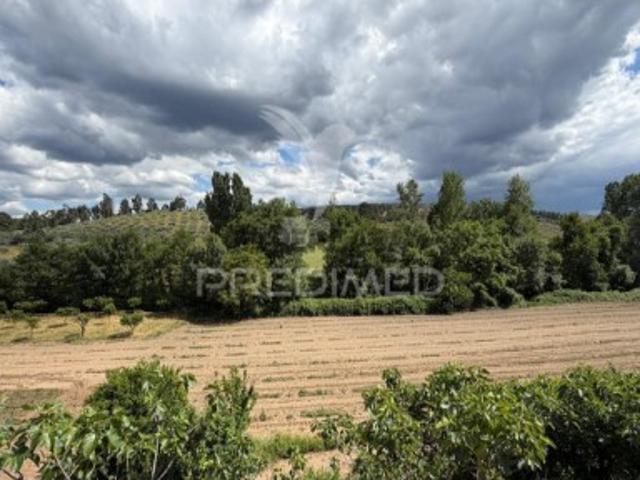 Terreno venda em Guide, Mirandela