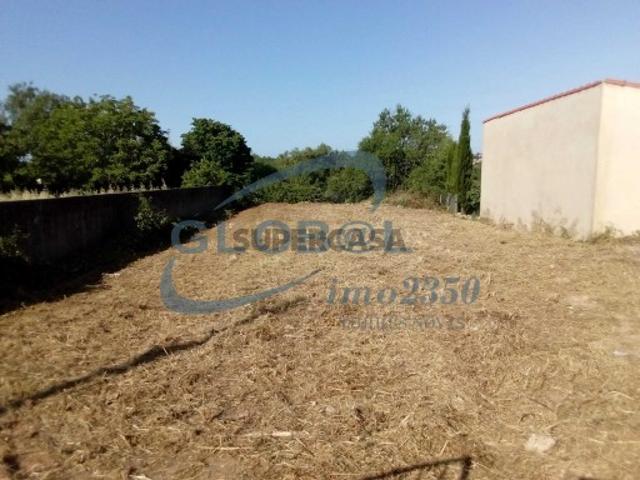 Terreno venda em Torres Novas