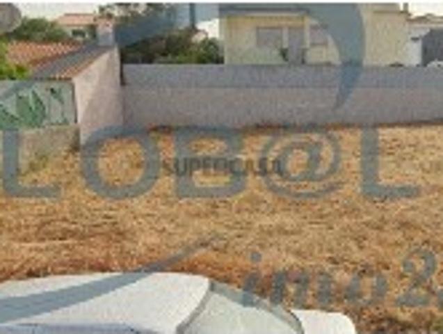 Terreno venda em Torres Novas, Santarém