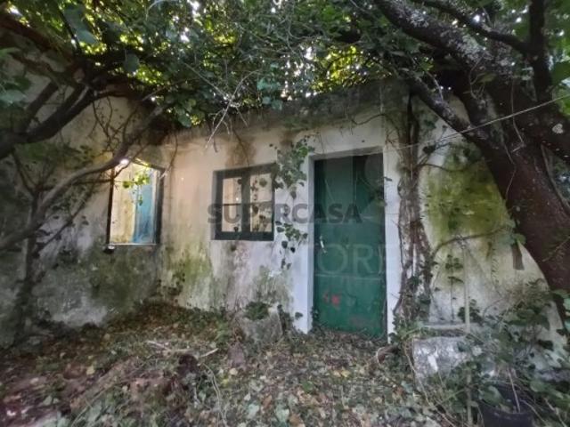 Terreno venda em Torres Novas, Santarém