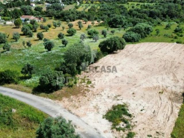 Terreno venda em Torres Novas, Santarém