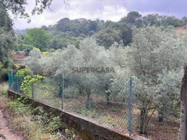 Terreno venda em Alcorriol, Torres Novas