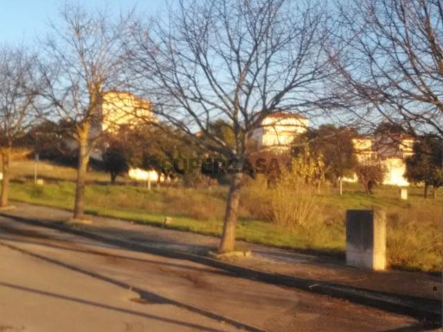 Terreno venda em Torres Novas, Santarém