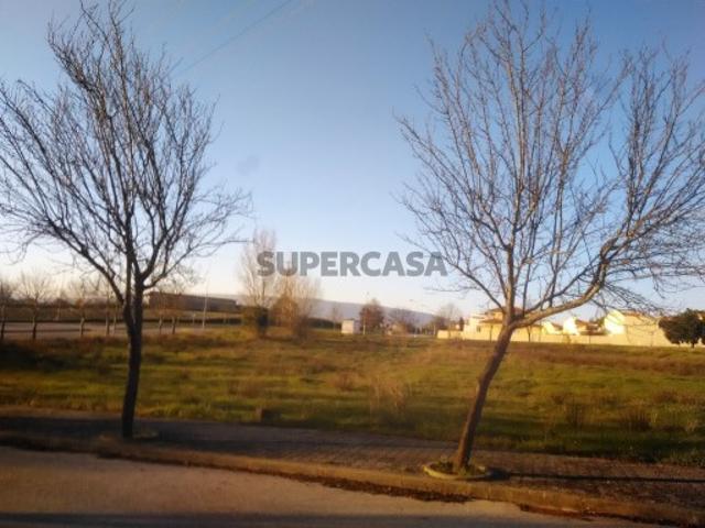 Terreno venda em Torres Novas, Santarém